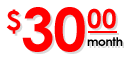 Secure Internet Access for Only $30.00 Per Month
